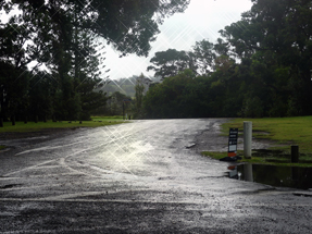 Rain stopped and the sun visited us sunshine on a rainy road