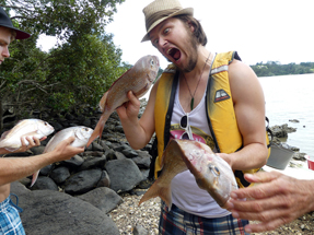 4 big Snapper