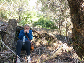 Hobbit Hideout on Mt Victoria