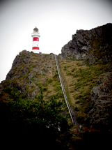 251 stairs to the hilltop and lighthouse - ouch! Lighthouse at Cape Palliser