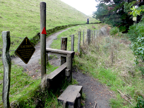 Entry to the Giant Circuit