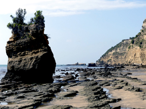 Cape Kidnappers walk