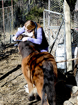 Bianca and the Ponies