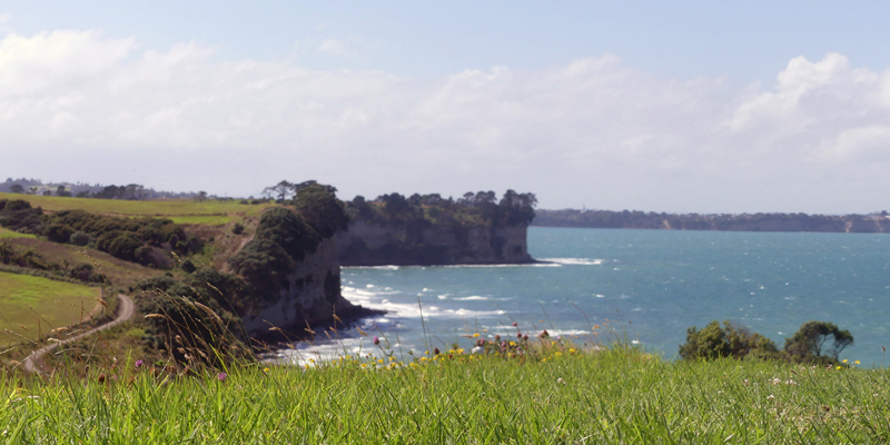 Picture gallery Long Bay & Shakes­pear Regional­park<;>Long Bay & Shakes­pear Regional Park
