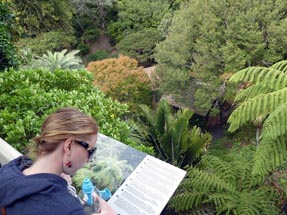 Bianca liest ein Schild über die Vegetation