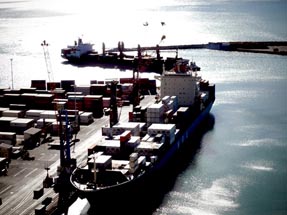 Blick auf den Hafen in Napier mit Containerschiff