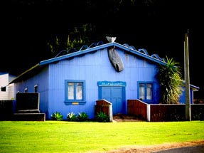 Maori Marae in Blau