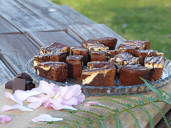 The helpers at the Yoga-Retreat loved the Cream Cheese Brownies Cream Cheese Brownies love