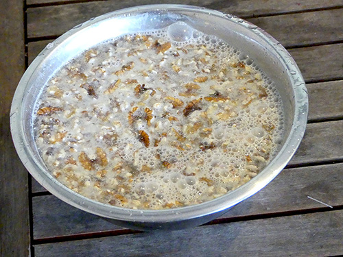 Soaking walnuts