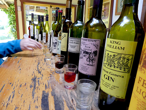 A free wine tasting ends up in more than a dozen liquors. And in a very good lough - the owner is one sort of a guy Purangi Winery liquor tasting