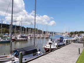 Whangarei Marina