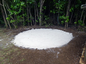 Platz gemacht im bush für den neuen Wassertank Wassertank für Aroha Island