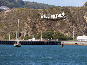 Wellington blown away