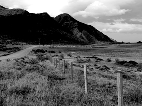 Rund ums Kap herrscht raues Klima. Und nicht nur der Weg ist steinig Geröllstraße Richtung Cape Palliser