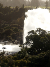 Prince Albert Geysir