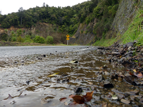 Te Urwera Wasserweg