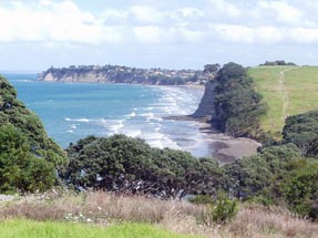 Coastwalk Long Bay Regional Park