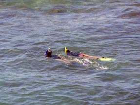 Snorkelling people