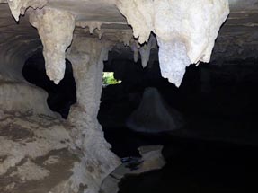 Entry to Waipu Caves