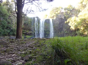 Blick Whangarei Waterfalls