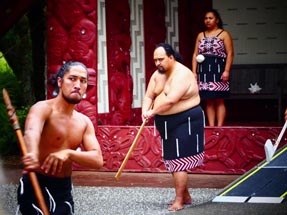 Haka Vorführung in Waitangi