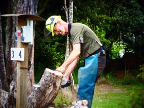 Simon  Kettensäge Baum