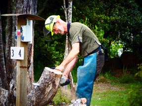 Simon Chainsaw tree