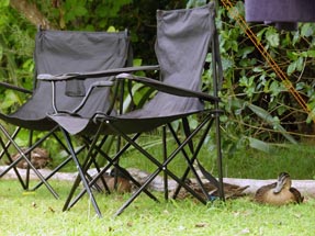 Enten sitzen unter unseren Campingstühlen