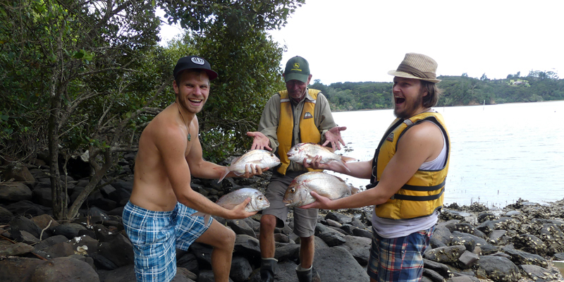 Große Ausbeute beim Fischen mit Manager Simon und Alex: 4 dicke Snapper Große Ausbeute beim Fischen mit Manager Simon und Alex: 4 dicke Snapper