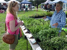 Kerikeri Farmers Market