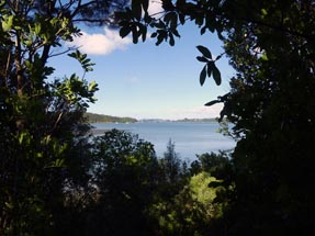 Ausblick aufs Meer