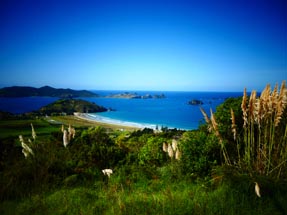 Blick auf Matauri Bay