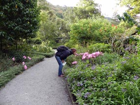 Thomas sniffing flower