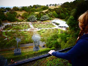 Rose garden wellington