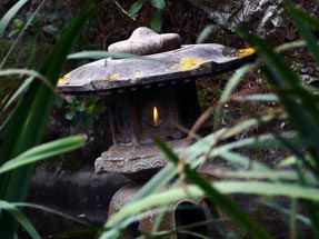 Peace flame in Botanical garden