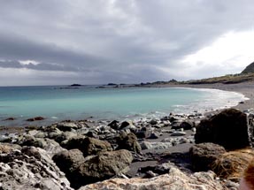 Landscape at Cape Palliser