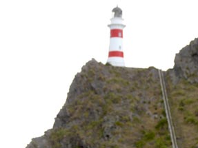 lighthouse at Cape Palliser