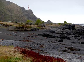 Blick auf den Leuchtturm am Cape