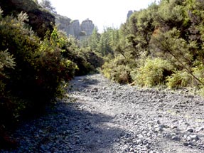 Dry riverbed in Pinnacles reserve