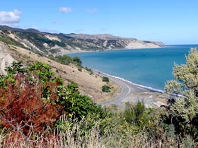 View of the Cape Palliser