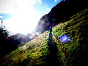 Die Sonne scheint auf den Wanderweg