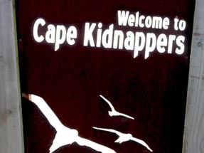 Hinweistafel Cape Kidnappers