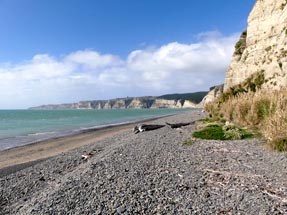 Beach at Cape Kidnappers
