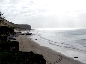 Ausblick am Cape Kidnappers
