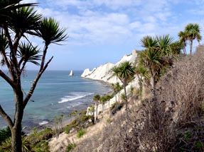 A different view at Cape Kidnappers