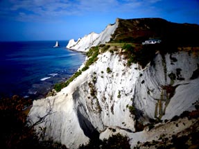 Blick auf Cape Kidnappers