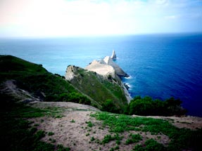 Cape Kidnappers Draufsicht