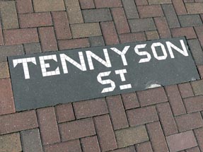 Tennyson Str Napier