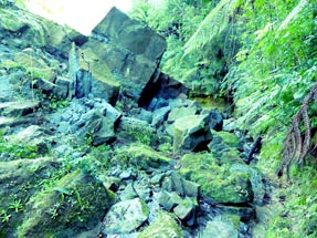 Walking path rocks