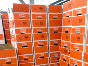 Orange boxes